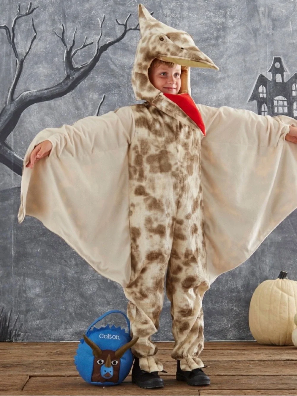 Pottery Barn Kids Pterodactyl Halloween Costume Two Piece